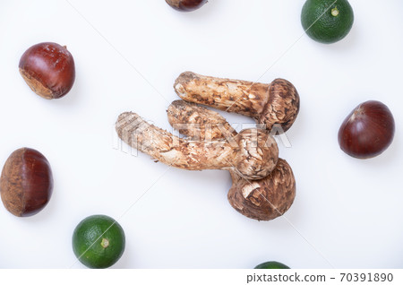 Image of vegetables in the autumn season Image of vegetables in the autumn season 70391890