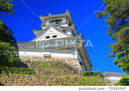 [高知縣]天氣晴朗時高知城的城堡塔 70392045
