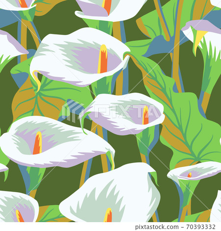 Vector floral seamless pattern with exotic calla flowers.  70393332