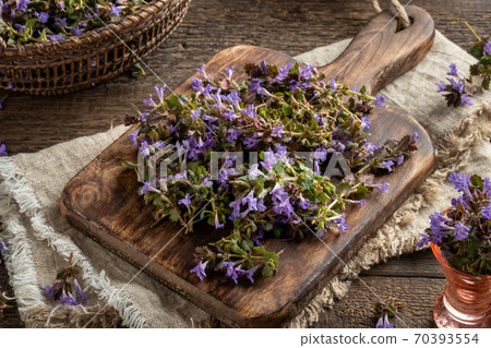 Fresh ground-ivy flowers on a cutting board Fresh ground-ivy flowers on a cutting board 70393554