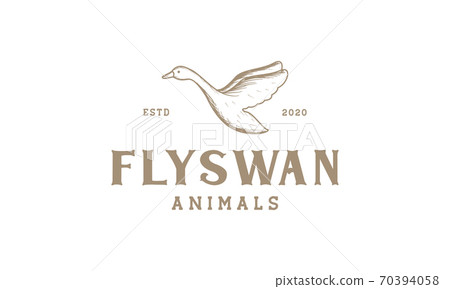swan fly engraved vintage logo vector illustration design swan fly engraved vintage logo vector illustration design 70394058