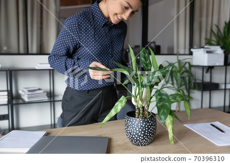 Smiling indian female employee water green plan in office 70396310