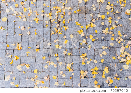 Grey stone pavement texture. Paving stones with yellow autumn leaves 70397040
