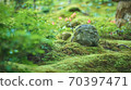 Junjo在京都Sanzenin 70397471