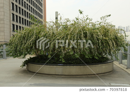 首爾站，崇禮門，道路，城市。 70397818