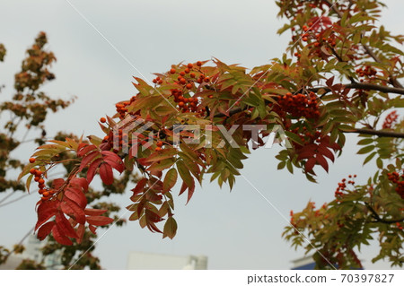 首爾站,崇禮門,道路,城市。 首爾站,崇禮門,道路,城市。 70397827