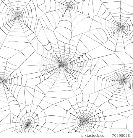 Spider web concept 70398038