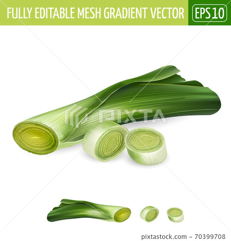 Fresh sliced leek illustration on white background. 70399708