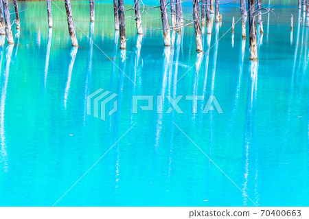 Aoike, Aoiike, Cobalt Blue, Furano, Hokkaido, Biei., Fine weather, blue sky, fresh green Aoike, Aoiike, Cobalt Blue, Furano, Hokkaido, Biei., Fine weather, blue sky, fresh green 70400663
