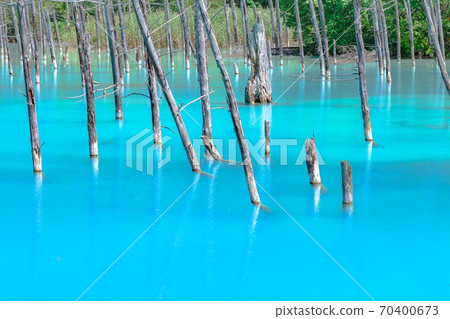 Aoike, Aoiike, Cobalt Blue, Furano, Hokkaido, Biei., Fine weather, blue sky, fresh green 70400673