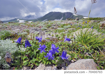 Chishimagikyo (Daisetsuzan, Hokkaido) 70400783