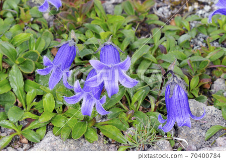 Chishimagikyo (Daisetsuzan, Hokkaido) Chishimagikyo (Daisetsuzan, Hokkaido) 70400784