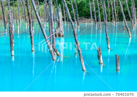 Aoike, Aoiike, Cobalt Blue, Furano, Hokkaido, Biei., Fine weather, blue sky, fresh green Aoike, Aoiike, Cobalt Blue, Furano, Hokkaido, Biei., Fine weather, blue sky, fresh green 70401070