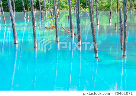 Aoike, Aoiike, Cobalt Blue, Furano, Hokkaido, Biei., Fine weather, blue sky, fresh green 70401071