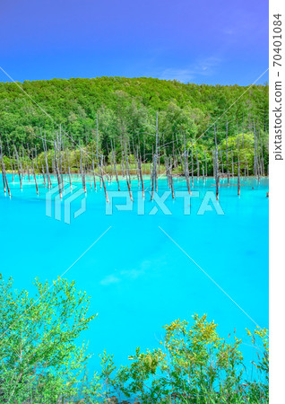 青池，青池，鈷藍，富良野，北海道，美瑛。，天氣晴朗，藍天，鮮綠色 70401084
