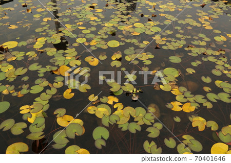 City, building, Seoul station, road 70401646