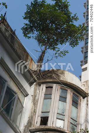 28 April 2007 the tong lau group at central hong 70402446