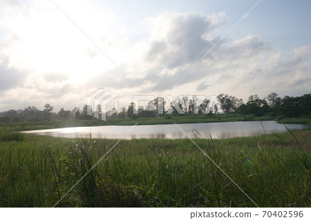 24 May 2007 fish pond in yuen long, hong kong, 70402596