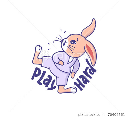 The funny Cartoonish bunny in sport style. The funny Cartoonish bunny in sport style. 70404561