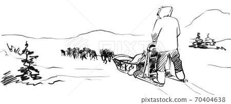 dog, sled, snow 70404638