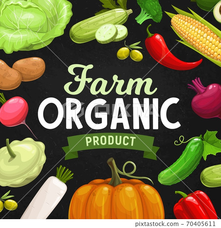 Farm organic vegetables and greenery vector banner - Stock Illustration ...