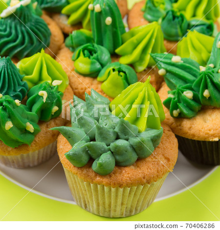 many cupcakes with cream in the form of cactus and succulents on a plate, on a green background, concept, close-up shot many cupcakes with cream in the form of cactus and succulents on a plate, on a green background, concept, close-up shot 70406286