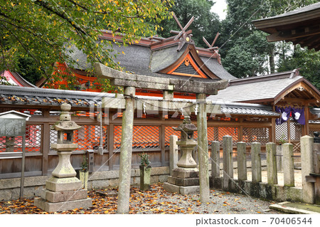 關川神社本館（大阪府岸和田市關川町） 70406544