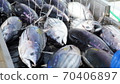 油炸鰹魚 70406897