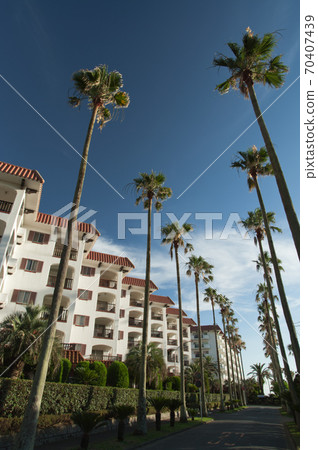 [Zushi] Zushi Marina 70407439