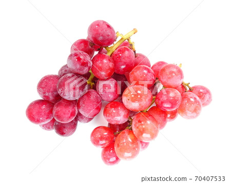Grape Grape Grape Aki Queen 70407533