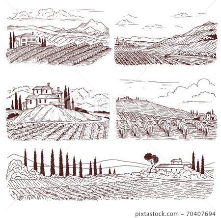 Vineyard landscapes set of hand drawn black line vector illustrations isolated. 70407694