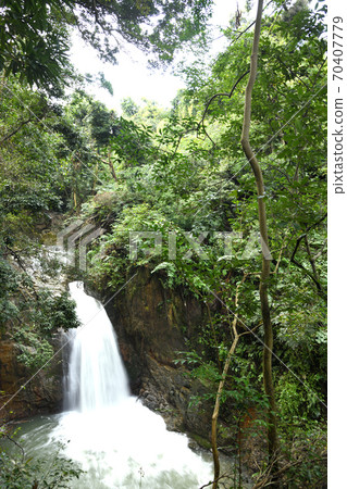 Amefuri Falls [Igabi Shrine precincts] (Habutakicho, Kishiwada City) 70407779
