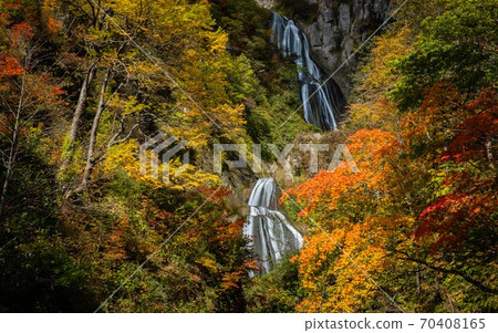 10月，北海道東川町Hagoromo瀑布和秋葉 70408165
