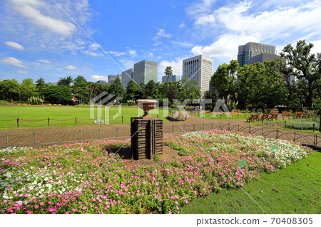 東京日比谷公園花田第一 照片素材 圖片 圖庫