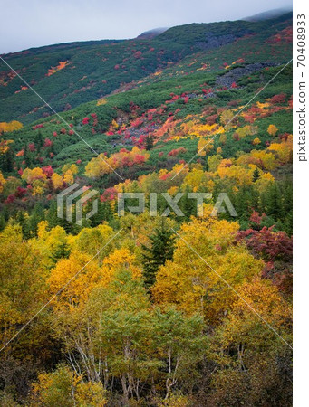 Autumn leaves near Tokachidake Onsen, Hokkaido October Autumn leaves near Tokachidake Onsen, Hokkaido October 70408933