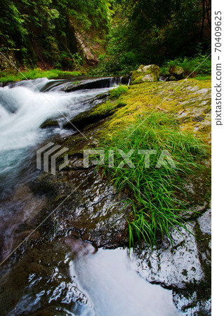 Scenery of the Tobiko Gorge stream flowing through a summer valley full of greenery 70409625