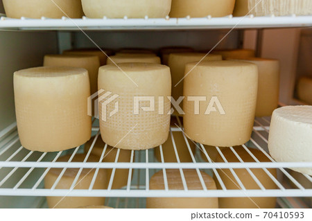 cheese heads in a cheese dairy cheese heads in a cheese dairy 70410593