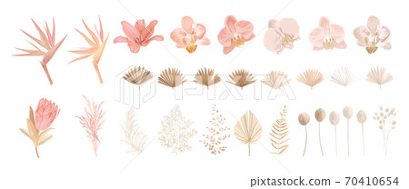 Elegant dry protea flower, tropic palm, pale orchid, eucalyptus, dried tropical leaves, floral elements 70410654