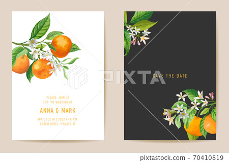 Wedding invitation card, vintage Save the Date mandarin, botanical citrus template design watercolor illustration Wedding invitation card, vintage Save the Date mandarin, botanical citrus template design watercolor illustration 70410819