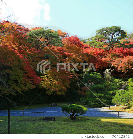 Okochi Sanso京都的秋葉 Okochi Sanso京都的秋葉 70412841