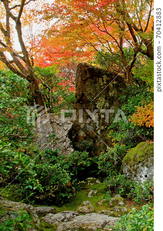 Okochi Sanso京都的秋葉 70412883