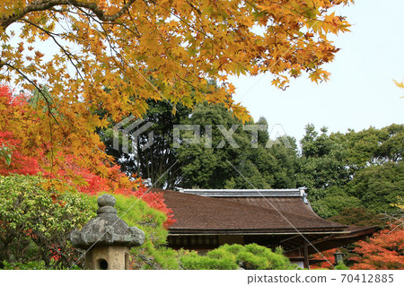 Okochi Sanso Autumn Leaves Kyoto 70412885
