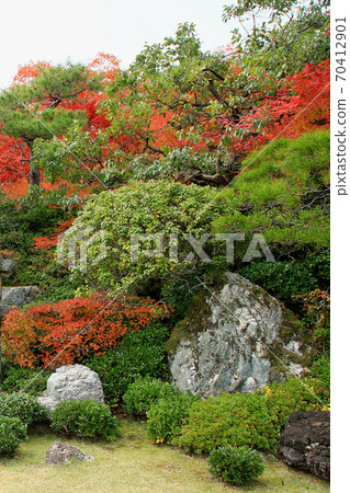 Okochi Sanso Autumn Leaves Kyoto Okochi Sanso Autumn Leaves Kyoto 70412901