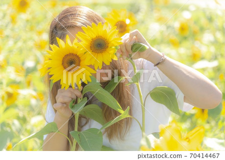 Play with sunflowers 70414467