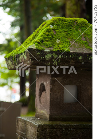 Autumn rain Suwa Taisha Suwa Taisha Upper Shrine main shrine Autumn rain Suwa Taisha Suwa Taisha Upper Shrine main shrine 70415755
