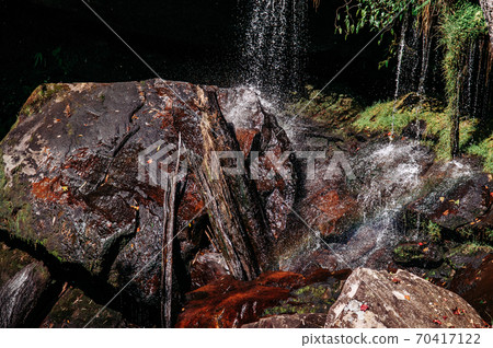 Beautiful waterfall with tropical plant and green moss covered stones. Pen Pob Mai waterfall at Phu Kradueng National park, Loei - Thailand Beautiful waterfall with tropical plant and green moss covered stones. Pen Pob Mai waterfall at Phu Kradueng National park, Loei - Thailand 70417122