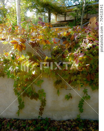Autumn at the foot of the mountain Autumn at the foot of the mountain 70418341