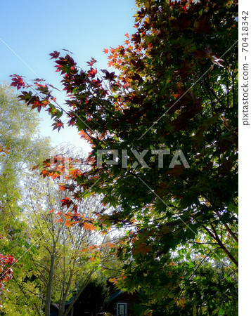 Autumn at the foot of the mountain Autumn at the foot of the mountain 70418342