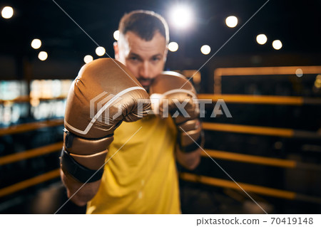 Boxing champion standing in a defensive pose 70419148