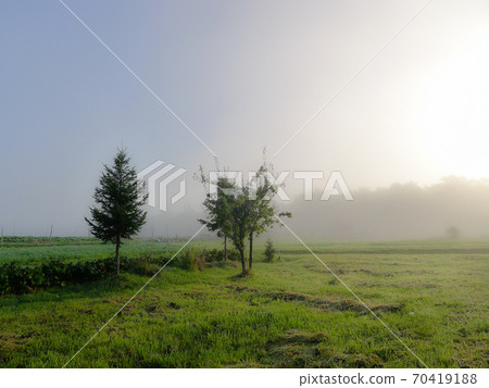富良野曉陽 70419188